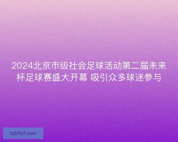 2024北京市级社会足球活动第二届未来杯足球赛盛大开幕 吸引众多球迷参与